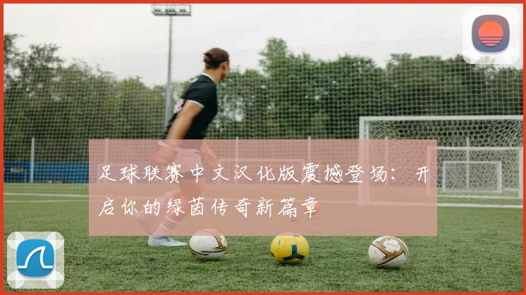 足球联赛中文汉化版震撼登场:开启你的绿茵传奇新篇章